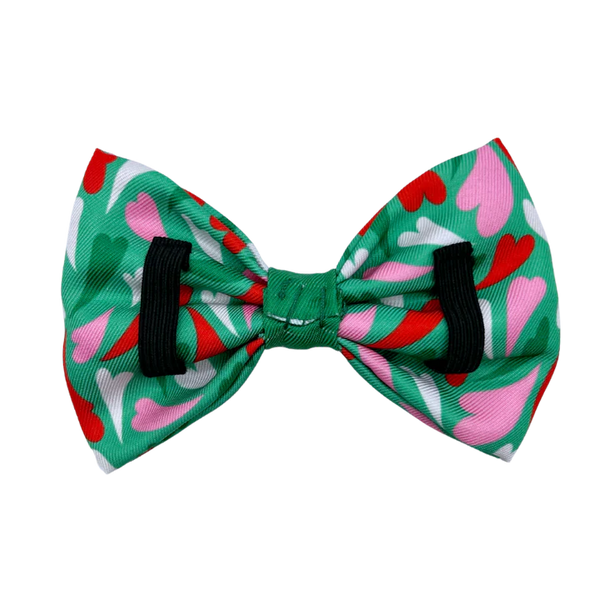 MOLLY & CO. - Pet Bowtie- Amore