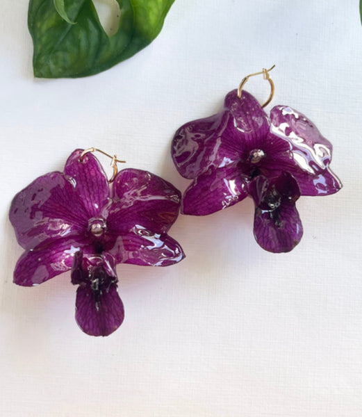 FLORE.C - Purple Orchid Hoops - O.04