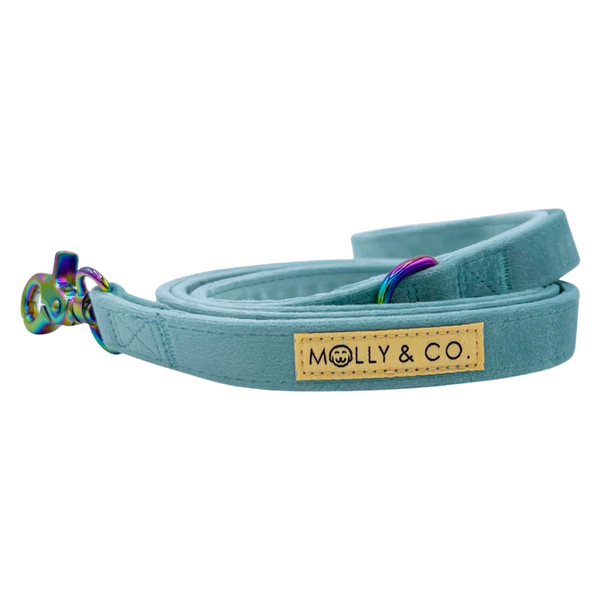 MOLLY & CO. - Leash - Molly Velvet