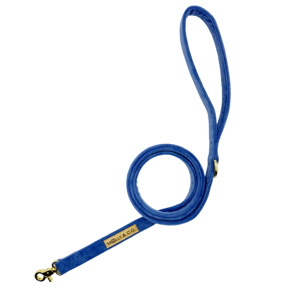 MOLLY & CO. - Leash- Blue Denim Velvet