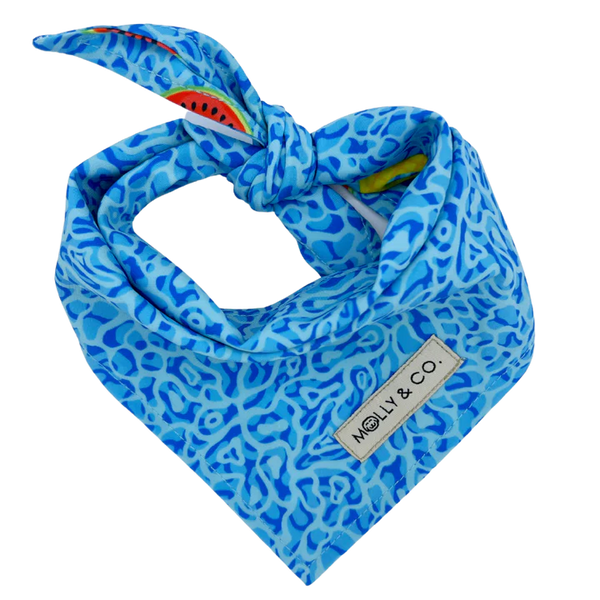 MOLLY & CO. - Reversible Dog Bandana- Pool Party