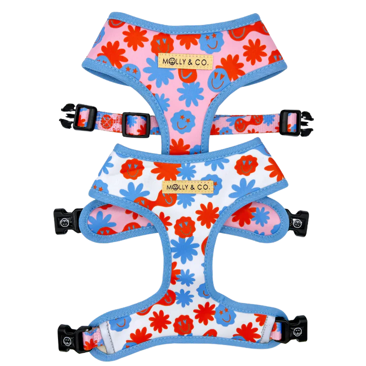 MOLLY & CO. - Reversible Harness- Be Happy