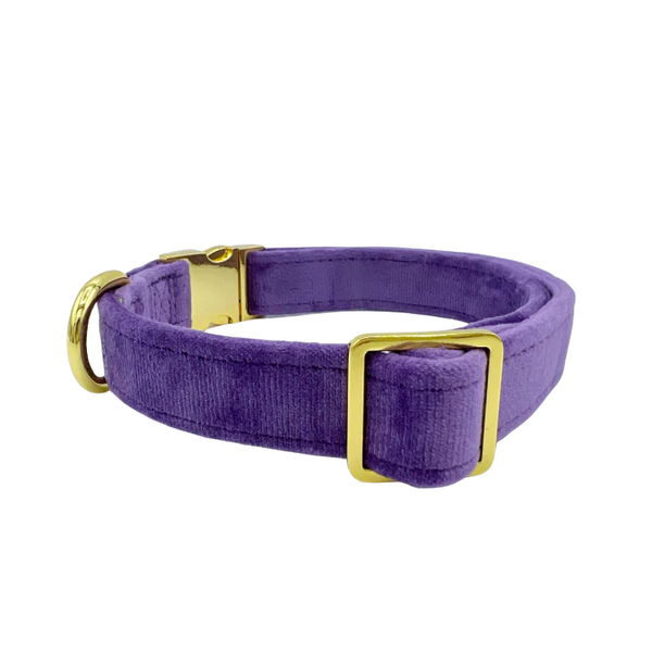 MOLLY & CO. - Collar- Violet Velvet