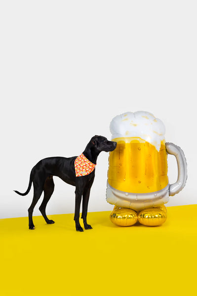 MOLLY & CO. - Reversible Dog Bandana- Beers