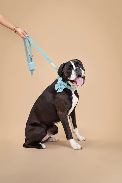 MOLLY & CO. - Leash - Molly Velvet