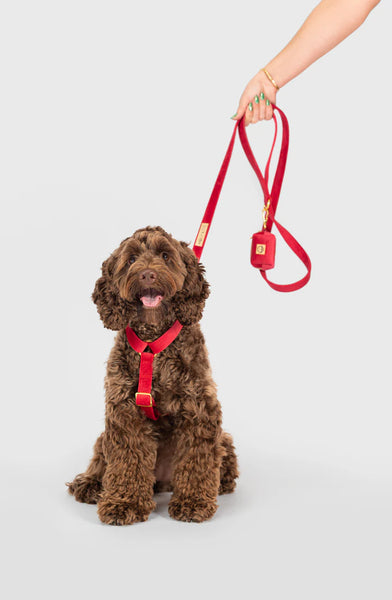 MOLLY & CO. - Adjustable Strap Harness - Scarlet Velvet