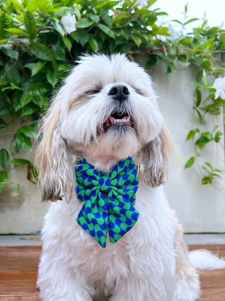 MOLLY & CO. - Sailor Pet Bowtie- Forest