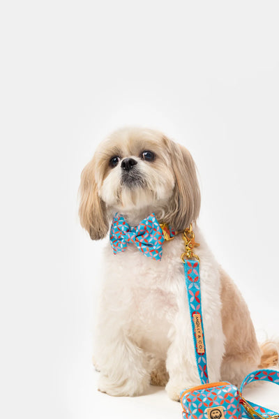MOLLY & CO. - Pet Bowtie- Santorini