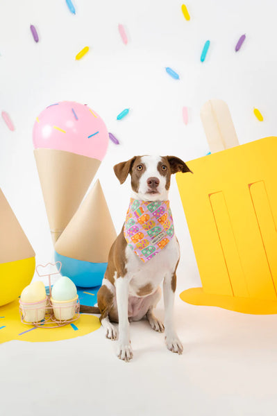 MOLLY & CO. - Reversible Dog Bandana- Ice Pop
