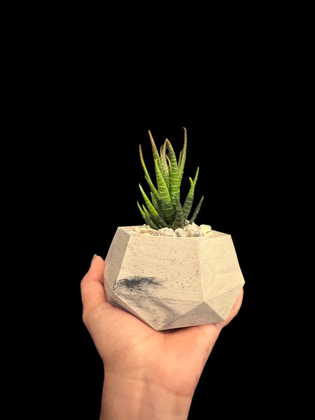 DEKOKRETE - Aura Planter