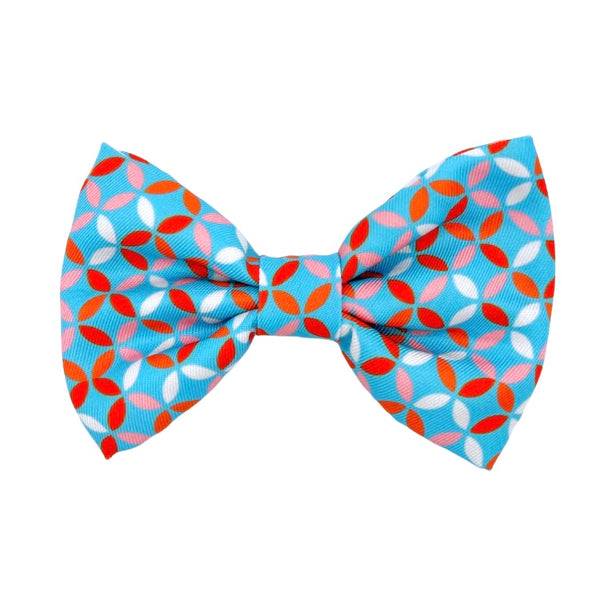MOLLY & CO. - Pet Bowtie- Santorini