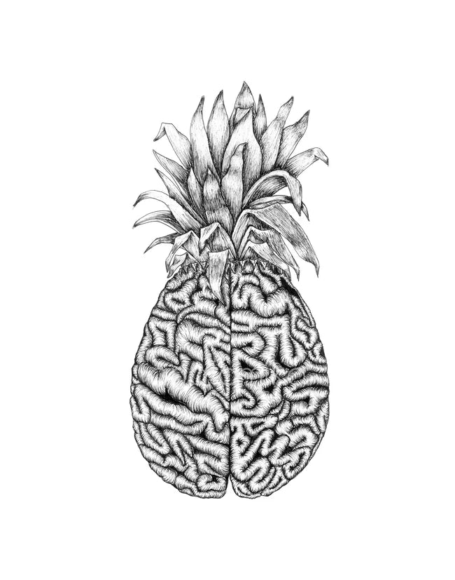 ANATOMIKO - Pineapple Sweet Cerebrum 11 x 14