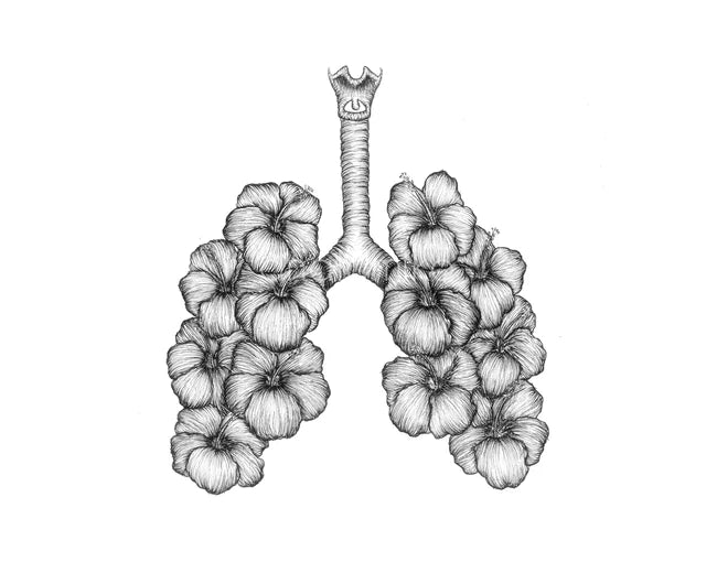 ANATOMIKO - Hibiscus Lungs 11 x 14