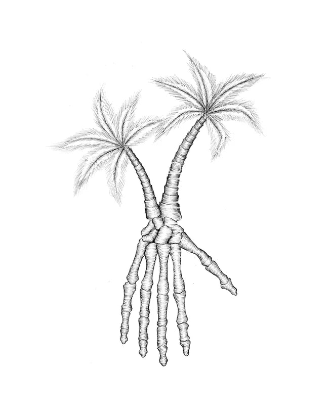ANATOMIKO - Palm Trees 11 x 14
