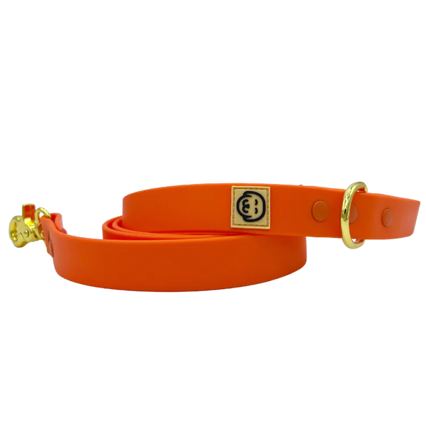 MOLLY & CO. - Waterproof Leash- Vivid Orange