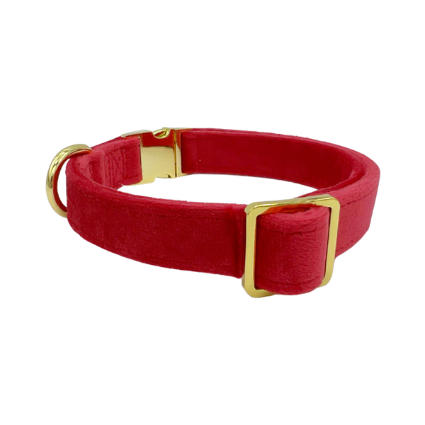 MOLLY & CO. - Collar- Scarlet Velvet