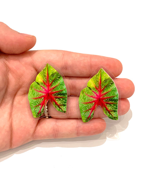 PAPEL PÚRPURA- Mini Studs- Caladium