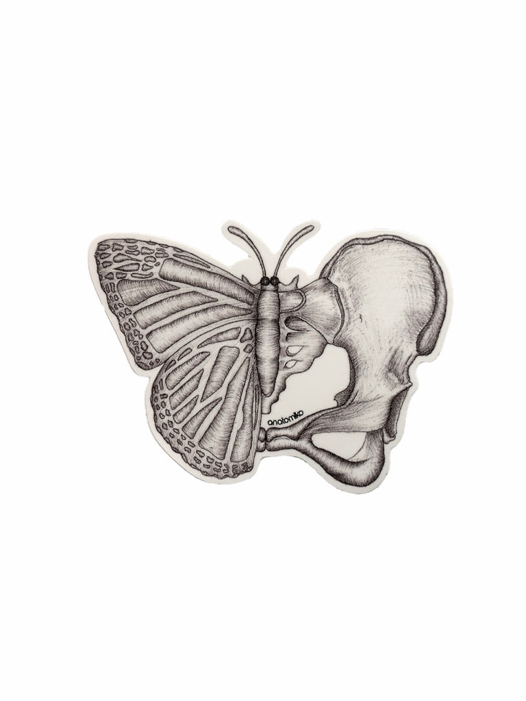 ANATOMIKO - Rhopalocera Sticker