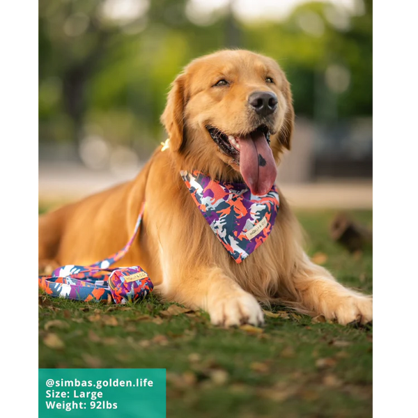 MOLLY & CO. - Dog Bandana- CamoDogz