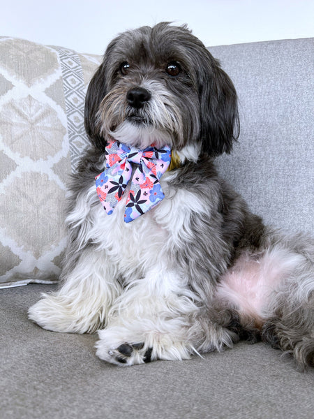 MOLLY & CO. - Sailor Pet Bowtie- Always Blooming