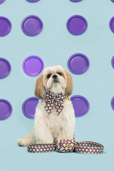 MOLLY & CO. - Sailor Pet Bowtie- Florentino