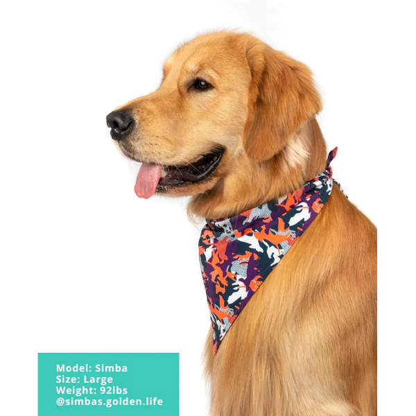MOLLY & CO. - Dog Bandana- CamoDogz