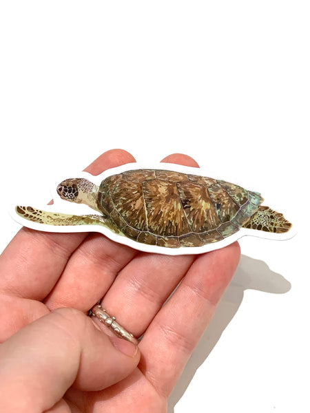 PUPA BY GIO- Green Sea Turtle Sticker