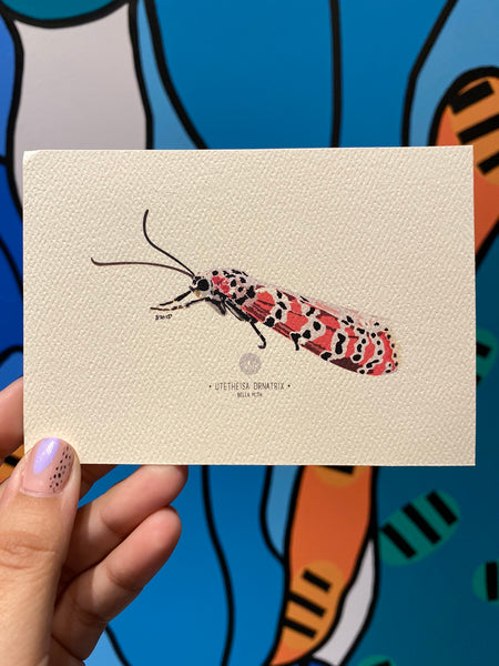 PUPA BY GIO- Art Print- Bella Moth