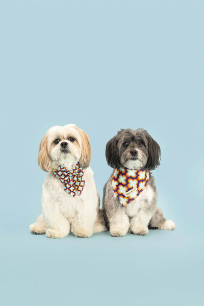 MOLLY & CO. - Dog Bandana- Florentino