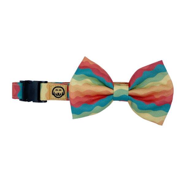 MOLLY & CO. - Collar- Sunset Paws