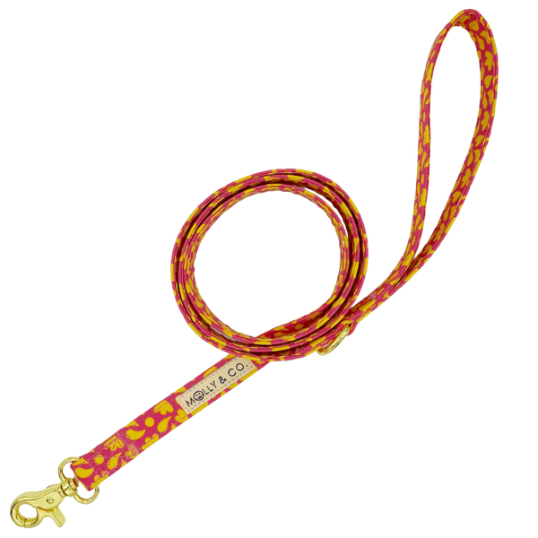 MOLLY & CO. - Leash- Sunny Vibes (Large)